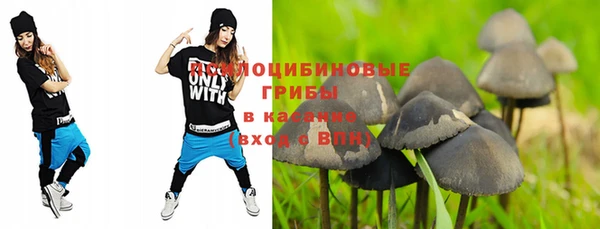 таблы Алексин