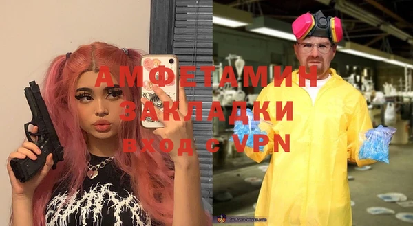 твердый Дмитров